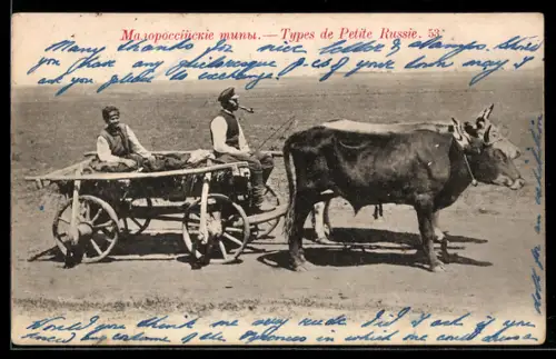 AK Zwei Männer in einem Ochsenkarren
