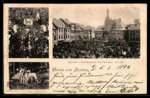 AK Apolda, Hundemarkt, Mehrfachansicht, Volksfest