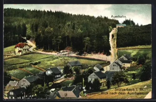 AK Stützerbach i. Th., Blick nach dem Auerhahn