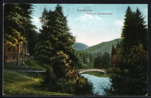 AK Schwarzatal, Partie am Schweizerhaus