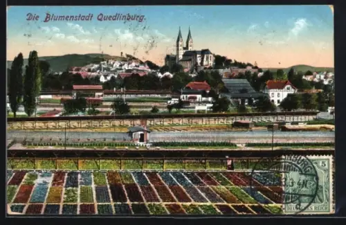 AK Quedlinburg, Blumenfelder und Kirche