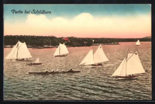 AK Berlin-Grunewald, Schildhorn, Segelboote und Ruderboote auf dem Wasser