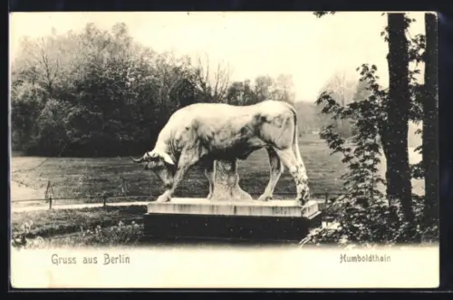 AK Berlin-Wedding, Humboldthain, Stierdenkmal