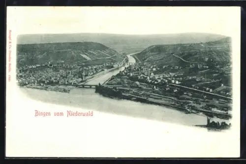 AK Bingen, Ansicht vom Niederwald, Rhein, Stadtpanorama
