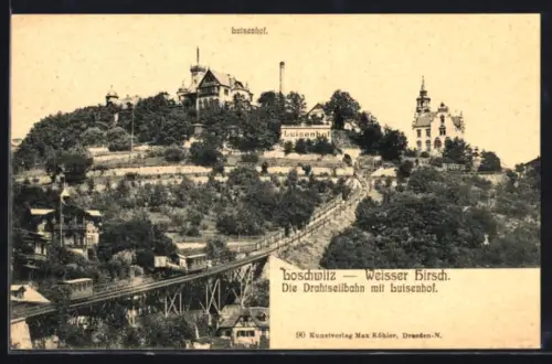 AK Dresden-Loschwitz, Drahtseilbahn, Luisenhof, Weisser Hirsch