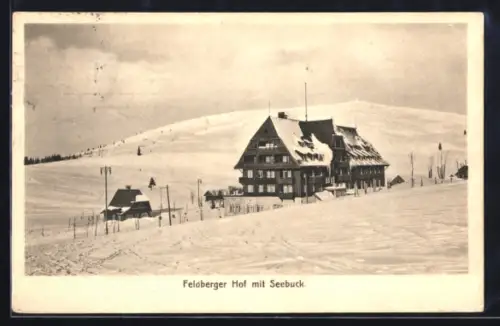 AK Feldberg /Breisgau, Feldberger Hof mit Seebuck