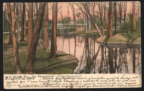 AK Berlin, Tiergarten, Wasserlandschaft