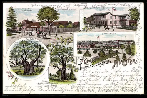Lithographie Munster, Truppenübungsplatz, Gasthaus Lüneburger Hof, Adam Eiche, Eva Eiche