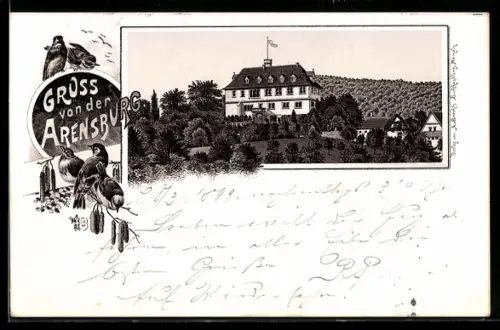 Lithographie Rinteln, Ansicht vom Schloss Arensburg