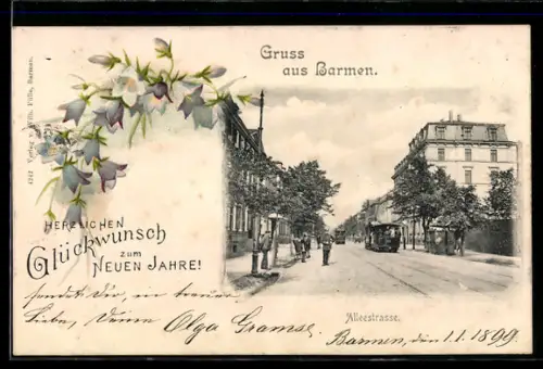 Lithographie Barmen, Alleestrasse mit Strassenpartie, Neujahrsgruss, Blumen, Passepartout