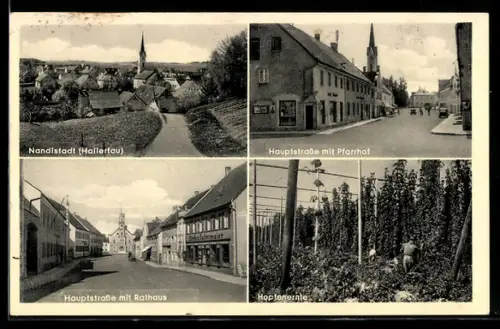 AK Nandlstadt, Hopfenernte, Hauptstrasse mit Pfarrhof