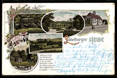 Lithographie Soltau /Lüneburger Heide, Ober-Haverbeck, Rathaus Soltau, Bauernhaus bei Meber