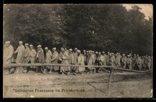 AK Kriegsgefangene Franzosen im Priesterwald