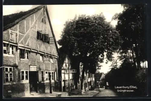 AK Lauenburg /Elbe, Grünstrasse mit Wohnhäusern