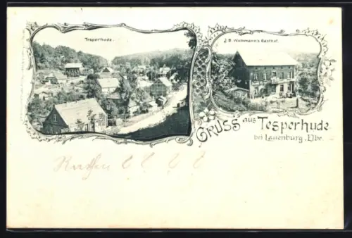 AK Tesperhude bei Lauenburg, J. B. Wichmann`s Gasthof und Totalansicht