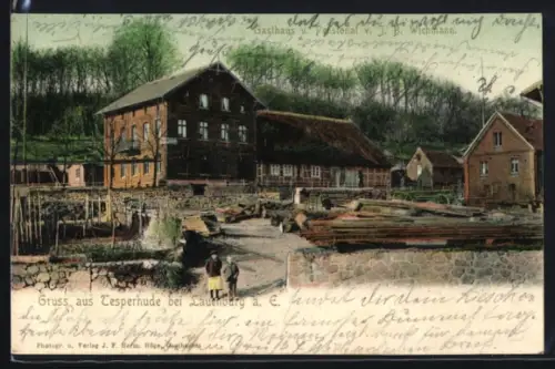AK Tesperhude bei Lauenburg, Gasthaus und Pensionat von J. B. Wichmann