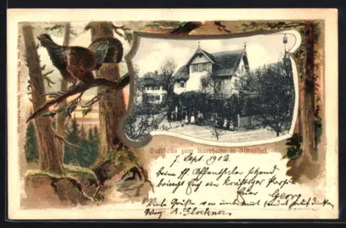 Passepartout-Lithographie Affenthal, Gasthaus zum Auerhahn, Auerhahn auf dem Ast