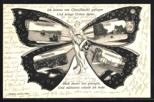 Schmetterlings-AK Geesthacht, Landungsbrücke, Markt, Edmundstal, Panorama vom Ort, Fliegende Menschen