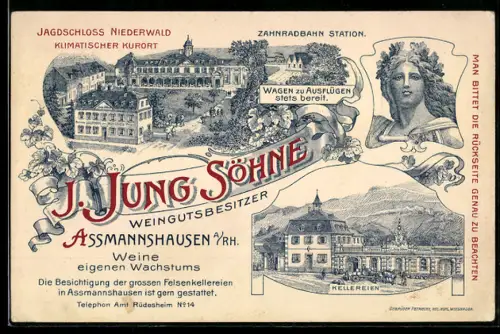 Vertreterkarte Assmannshausen a. Rh., J. Jung Söhne, Jagdschloss Niederwald, Vogelschau auf den Ort und Kellereien