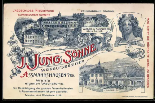 Vertreterkarte Assmannshausen a. Rh., J. Jung Söhne, Jagdschloss Niederwald, Kellerei und Vogelschau auf Kurort