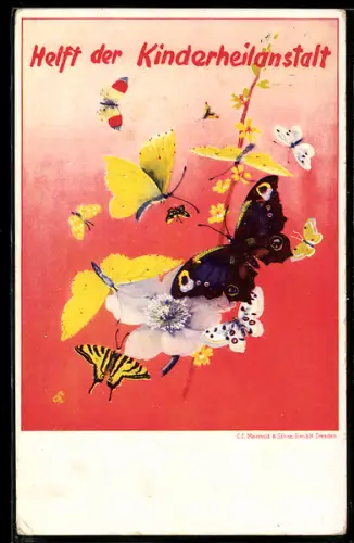 AK Helft der Kinderheilanstalt, Schmetterlinge