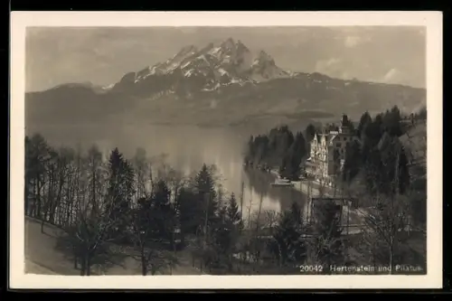 AK Hertenstein, Panorama mit Pilatus