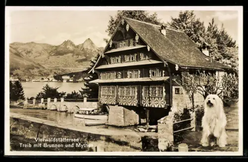 AK Treib am Vierwaldstättersee, mit Brunnen und Mythen