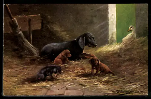 Künstler-AK M. Müller jun.: Dackel mit Welpen in einem Stall