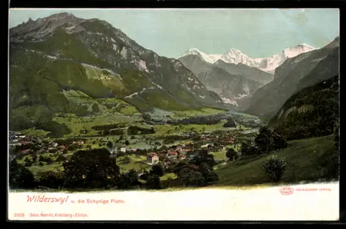 AK Wilderswyl, Panorama mit Schnynige Platte vom Berg aus gesehen
