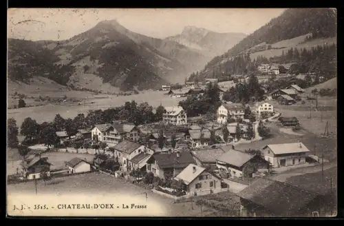 AK Chateau d'Oex, La Frasse, Totalansicht