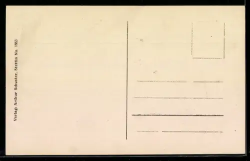 AK Stettin, Rathaus und Manzelbrunnen