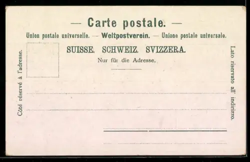 AK Rheinfelden, Ortsansicht