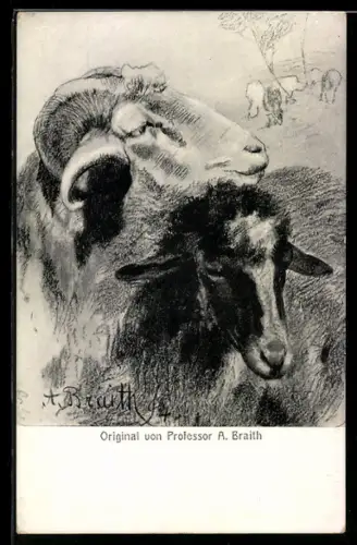 AK Schafpaar auf der Weide, Tierschutz