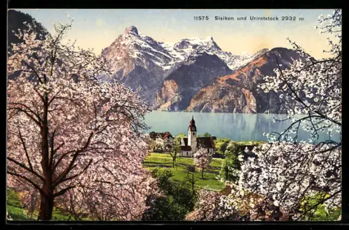 AK Sisikon, Blick zum Ort mit Urirotstock im Frühling