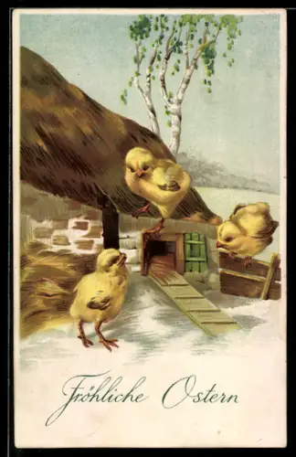 AK Osterküken stehen auf einer Hütte