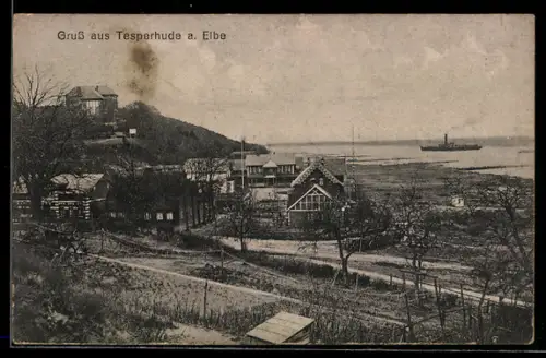 AK Tesperhude a. Elbe, Ortspartie, Im Hintergrund Dampfer