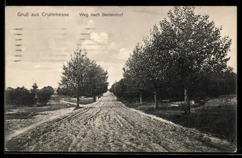 AK Crummesse, Weg nach Beidendorf