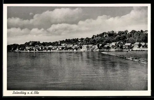 AK Lauenburg a. d. Elbe, Panorama an der Elbe