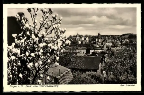 AK Siegen i. W., Blick vom Fischbacherberg