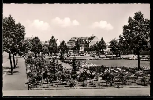 AK Kaiserslautern, Partie am Wiesenplatz