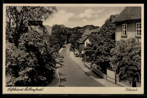 AK Fallingbostel, Partie in der Soltauerstrasse