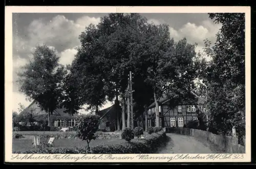 AK Fallingbostel, Gasthaus und Pension Wünning, Schriebers Hof