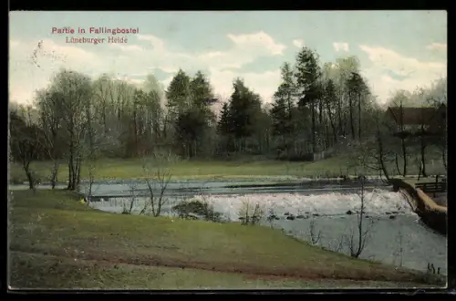 AK Fallingbostel /Lüneburger Heide, Partie an der Aller mit Brücke und Wald