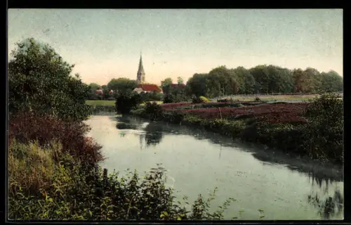 AK Fallingbostel /Lüneburger Heide, Blick auf Kirche und Böhme