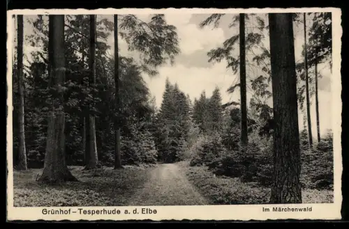 AK Grünhof-Tesperhude a. d. Elbe, Märchenwald