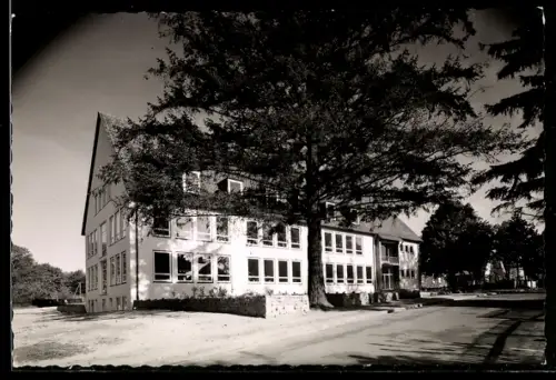 AK Fallingbostel, Neue Schule mit Strassenpartie