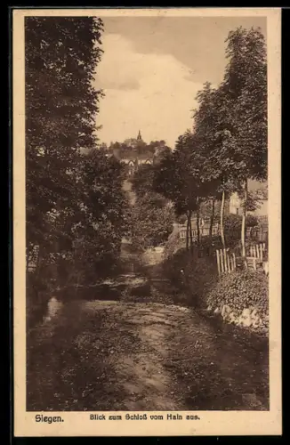 AK Siegen, Blick zum Schloss vom Hain aus