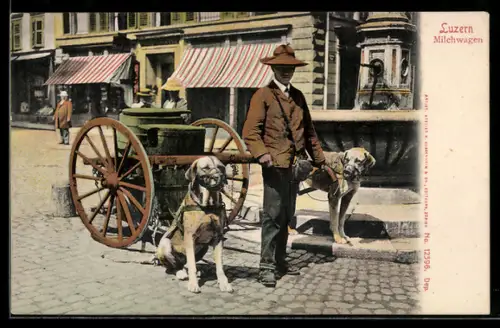 AK Luzern, Junge mit Milchwagen mit zwei Hunden