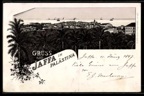 Lithographie Jaffa, Panorama