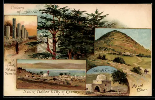 AK Tiberias, Mount Tabor, Sea of Galilee, Cedars of Lebanon, Ruins of Herod`s Palace